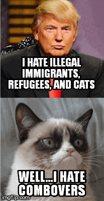 Well I hate combovers | image tagged in donald trump,cart,cat,grumpy cat | made w/ Imgflip meme maker