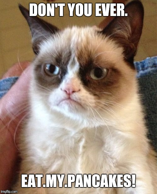 Grumpy Cat Meme | DON'T YOU EVER. EAT.MY.PANCAKES! | image tagged in memes,grumpy cat | made w/ Imgflip meme maker