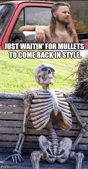 JUST WAITIN' FOR MULLETS TO COME BACK IN STYLE. | image tagged in memes,almost politically correct redneck,waiting skeleton | made w/ Imgflip meme maker