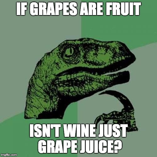 Philosoraptor Meme | IF GRAPES ARE FRUIT; ISN'T WINE JUST GRAPE JUICE? | image tagged in memes,philosoraptor | made w/ Imgflip meme maker