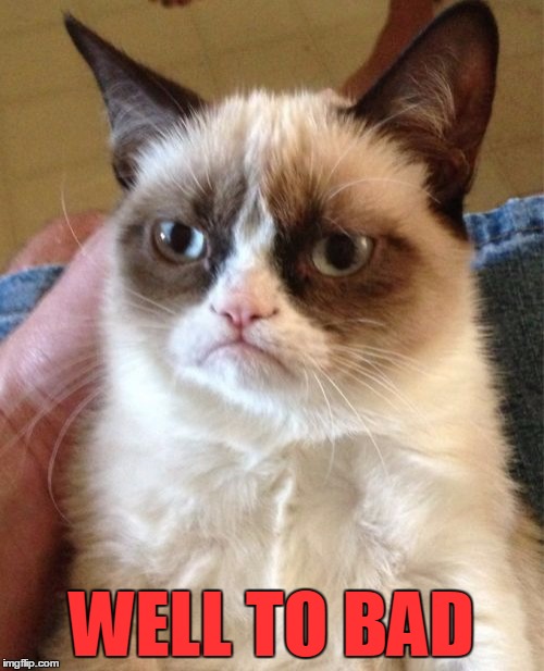 Grumpy Cat Meme | WELL TO BAD | image tagged in memes,grumpy cat | made w/ Imgflip meme maker