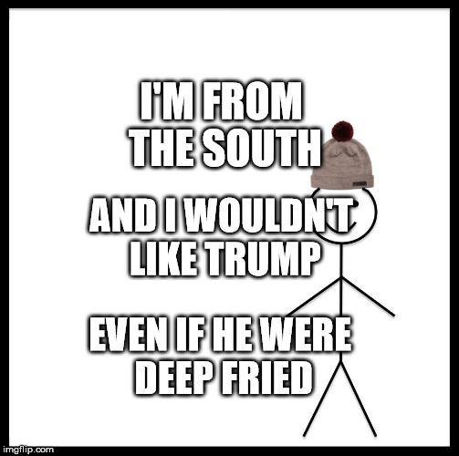 Be Like Bill | I'M FROM THE SOUTH; AND I WOULDN'T LIKE TRUMP; EVEN IF HE WERE DEEP FRIED | image tagged in memes,be like bill | made w/ Imgflip meme maker