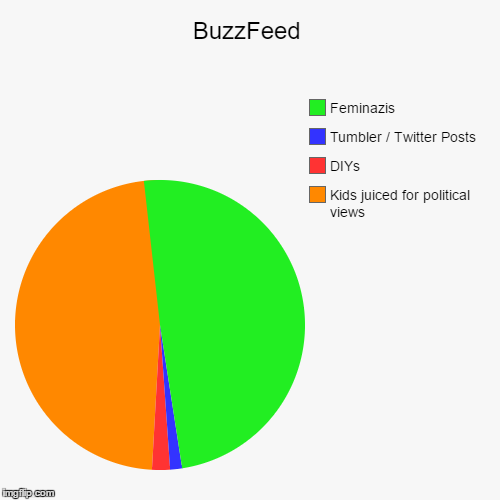 image tagged in funny,pie charts | made w/ Imgflip chart maker