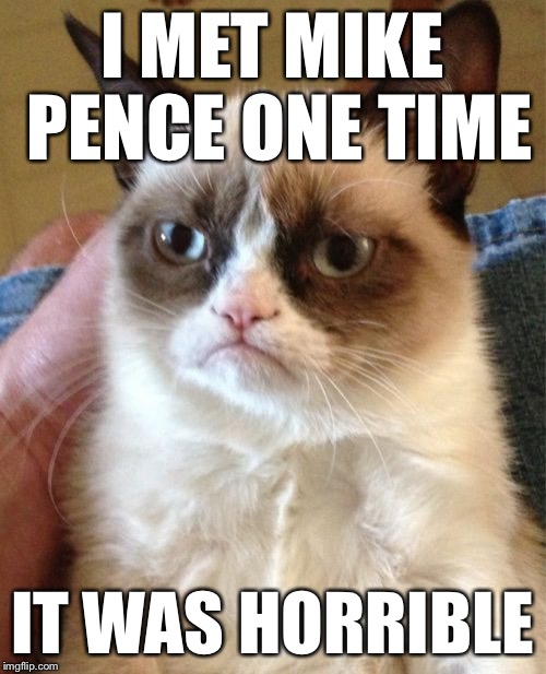Grumpy Cat Meme | I MET MIKE PENCE ONE TIME IT WAS HORRIBLE | image tagged in memes,grumpy cat | made w/ Imgflip meme maker