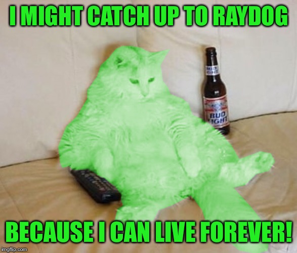 RayCat Chillin' | I MIGHT CATCH UP TO RAYDOG BECAUSE I CAN LIVE FOREVER! | image tagged in raycat chillin' | made w/ Imgflip meme maker