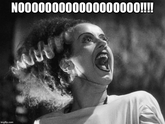 The Bride of Frankenstein | NOOOOOOOOOOOOOOOOOO!!!! | image tagged in the bride of frankenstein | made w/ Imgflip meme maker