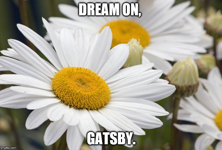 DREAM ON, GATSBY. | image tagged in great gatsby,daisy,american dream | made w/ Imgflip meme maker