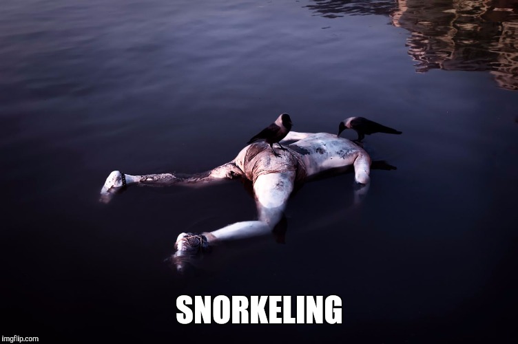SNORKELING | made w/ Imgflip meme maker
