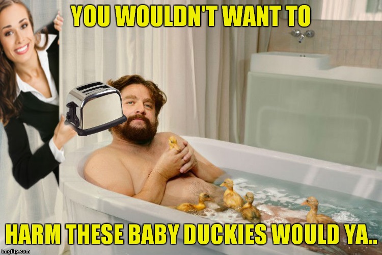 YOU WOULDN'T WANT TO HARM THESE BABY DUCKIES WOULD YA.. | made w/ Imgflip meme maker