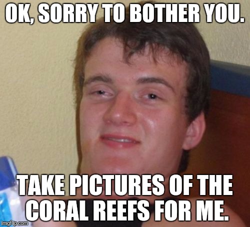 10 Guy Meme | OK, SORRY TO BOTHER YOU. TAKE PICTURES OF THE CORAL REEFS FOR ME. | image tagged in memes,10 guy | made w/ Imgflip meme maker