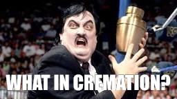 Ohhhhh yeeeeesssss! | WHAT IN CREMATION? | image tagged in what in tarnation | made w/ Imgflip meme maker