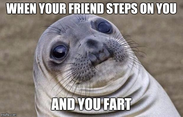 My abdomen's a landmine | WHEN YOUR FRIEND STEPS ON YOU; AND YOU FART | image tagged in memes,awkward moment sealion | made w/ Imgflip meme maker