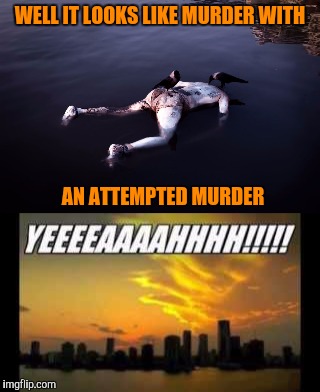 WELL IT LOOKS LIKE MURDER WITH AN ATTEMPTED MURDER | made w/ Imgflip meme maker