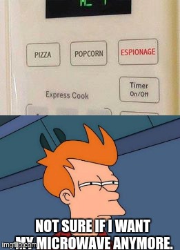 Remember when tv's had the "you are not being viewed through this device" warning? | NOT SURE IF I WANT MY MICROWAVE ANYMORE. | image tagged in memes,government,futurama fry | made w/ Imgflip meme maker