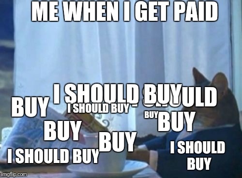 Groceries? What are those? | ME WHEN I GET PAID; I SHOULD BUY; I SHOULD BUY; BUY; BUY; I SHOULD BUY; BUY; BUY; I SHOULD BUY; I SHOULD BUY | image tagged in memes,i should buy a boat cat | made w/ Imgflip meme maker