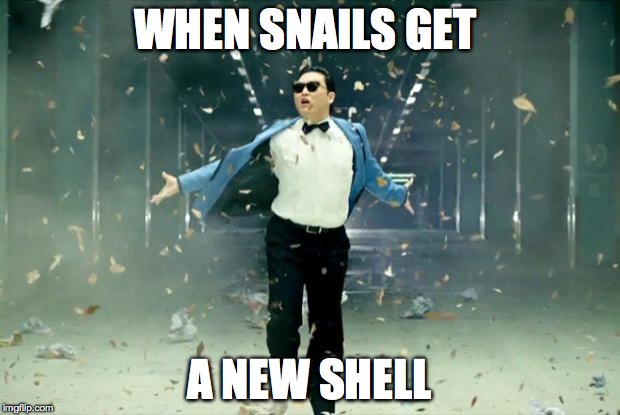 Rockstar | WHEN SNAILS GET; A NEW SHELL | image tagged in rockstar | made w/ Imgflip meme maker