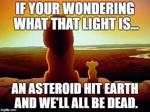 Lion King | IF YOUR WONDERING WHAT THAT LIGHT IS... AN ASTEROID HIT EARTH AND WE'LL ALL BE DEAD. | image tagged in memes,lion king | made w/ Imgflip meme maker