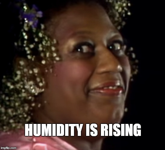 Izora Armstead | HUMIDITY IS RISING | image tagged in black woman | made w/ Imgflip meme maker