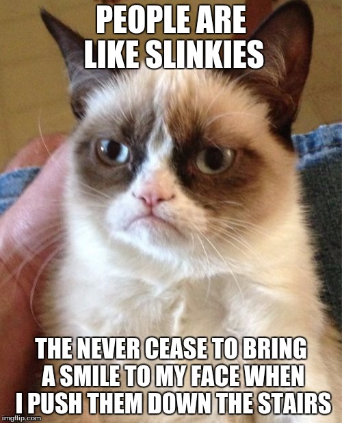 Grumpy Cat | PEOPLE ARE LIKE SLINKIES; THE NEVER CEASE TO BRING A SMILE TO MY FACE WHEN I PUSH THEM DOWN THE STAIRS | image tagged in memes,grumpy cat | made w/ Imgflip meme maker