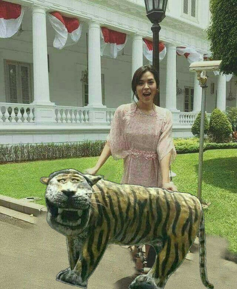 High Quality Raisa macan lucu Blank Meme Template