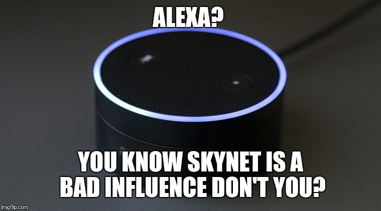 Hasta la Vista maybe? | ALEXA? YOU KNOW SKYNET IS A BAD INFLUENCE DON'T YOU? | image tagged in memes | made w/ Imgflip meme maker