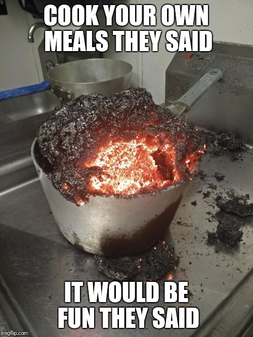 I don't think this is what they meant by lava cake | COOK YOUR OWN MEALS THEY SAID; IT WOULD BE FUN THEY SAID | image tagged in lava-licious | made w/ Imgflip meme maker