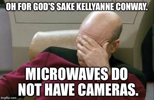 Kellyanne Conway Microwave Camera Comment Makes Captain Picard Facepalm | OH FOR GOD'S SAKE KELLYANNE CONWAY. MICROWAVES DO NOT HAVE CAMERAS. | image tagged in memes,captain picard facepalm,kellyanne conway,microwave,camera,couch | made w/ Imgflip meme maker