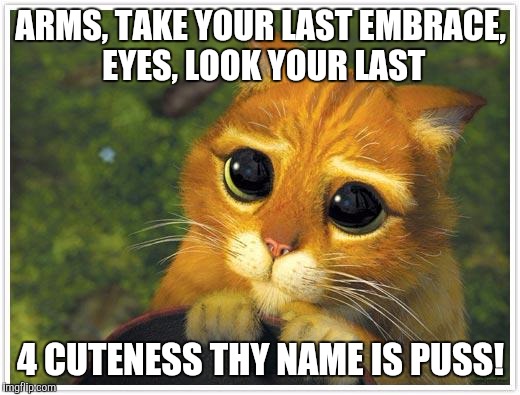 Shrek Cat | ARMS, TAKE YOUR LAST EMBRACE, EYES, LOOK YOUR LAST; 4 CUTENESS THY NAME IS PUSS! | image tagged in memes,shrek cat | made w/ Imgflip meme maker