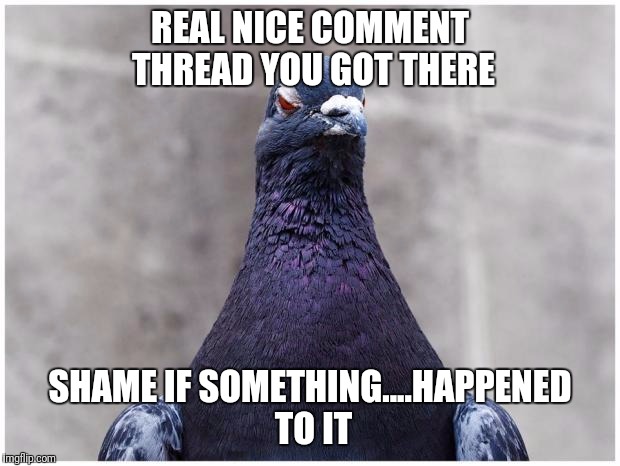 Pigeons. Pigeons everywhere | REAL NICE COMMENT THREAD YOU GOT THERE; SHAME IF SOMETHING....HAPPENED TO IT | image tagged in hatred pigeon | made w/ Imgflip meme maker