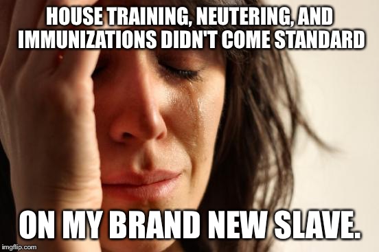 1% problems. | HOUSE TRAINING, NEUTERING, AND IMMUNIZATIONS DIDN'T COME STANDARD; ON MY BRAND NEW SLAVE. | image tagged in memes,first world problems,funny | made w/ Imgflip meme maker