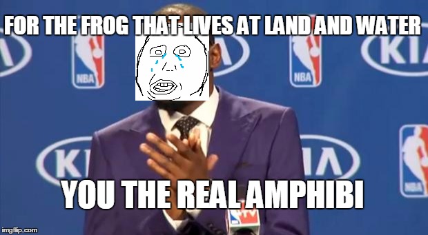 You The Real MVP | FOR THE FROG THAT LIVES AT LAND AND WATER; YOU THE REAL AMPHIBI | image tagged in memes,you the real mvp | made w/ Imgflip meme maker