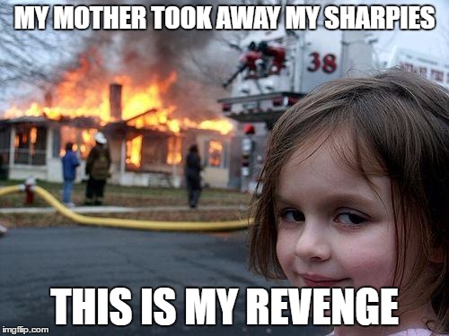Disaster Girl Meme | MY MOTHER TOOK AWAY MY SHARPIES; THIS IS MY REVENGE | image tagged in memes,disaster girl | made w/ Imgflip meme maker