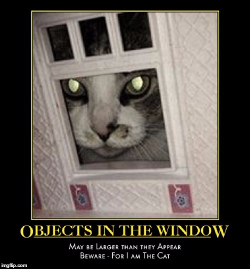 Objects May be Larger than they Appear | . | image tagged in demotivational,funny,meme,wmp,for i am the cat | made w/ Imgflip meme maker