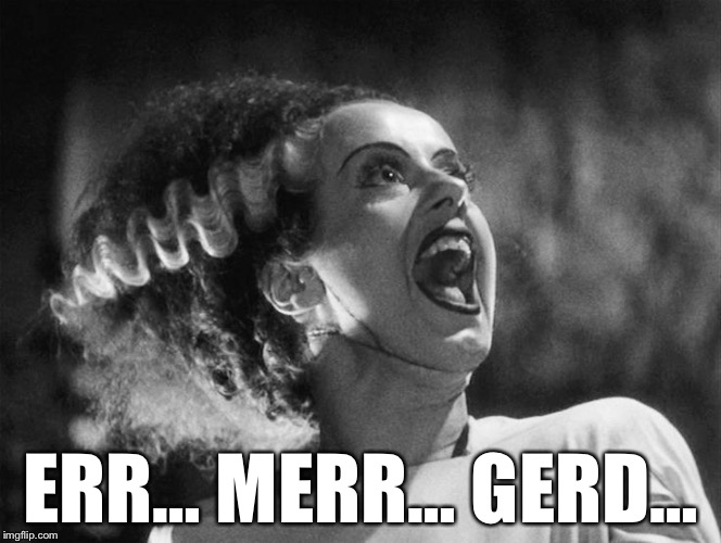 The Bride of Frankenstein | ERR… MERR… GERD… | image tagged in the bride of frankenstein | made w/ Imgflip meme maker
