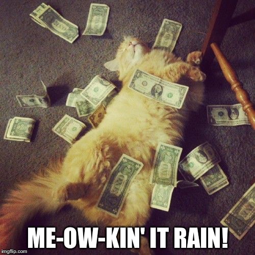 ME-OW-KIN' IT RAIN! | made w/ Imgflip meme maker