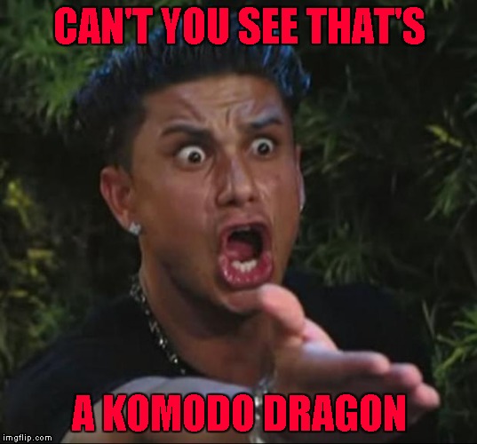 CAN'T YOU SEE THAT'S A KOMODO DRAGON | made w/ Imgflip meme maker