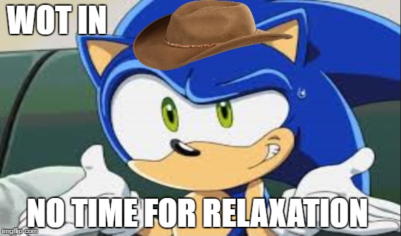 Wot In No Time For Relaxation  | WOT IN; NO TIME FOR RELAXATION | image tagged in sonic the hedgehog,sonic x,funny,wot in tarnation,funny memes | made w/ Imgflip meme maker