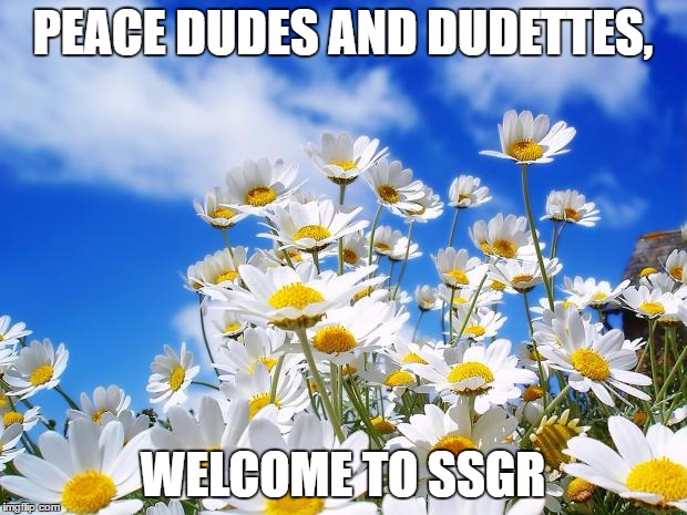 spring daisy flowers | PEACE DUDES AND DUDETTES, WELCOME TO SSGR | image tagged in spring daisy flowers | made w/ Imgflip meme maker