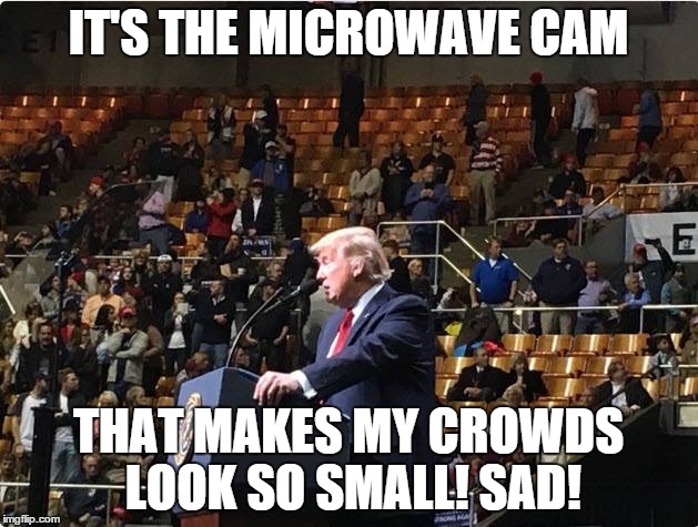 Tiny Tiny Tiny | IT'S THE MICROWAVE CAM; THAT MAKES MY CROWDS LOOK SO SMALL! SAD! | image tagged in donald trump,small hands,crowd of people,microwaves,microwave camera | made w/ Imgflip meme maker