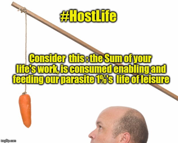 Carrot | #HostLife; Consider  this : the Sum of your life's work, is consumed enabling and feeding our parasite 1%'s  life of leisure | image tagged in carrot | made w/ Imgflip meme maker