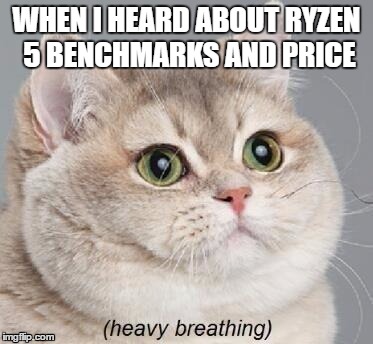 Heavy Breathing Cat | WHEN I HEARD ABOUT RYZEN 5 BENCHMARKS AND PRICE | image tagged in memes,heavy breathing cat | made w/ Imgflip meme maker