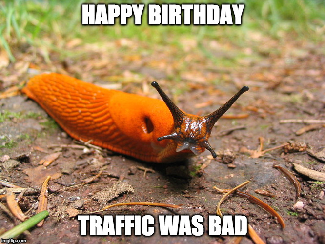Slug belated birthday | HAPPY BIRTHDAY; TRAFFIC WAS BAD | image tagged in slug belated birthday | made w/ Imgflip meme maker