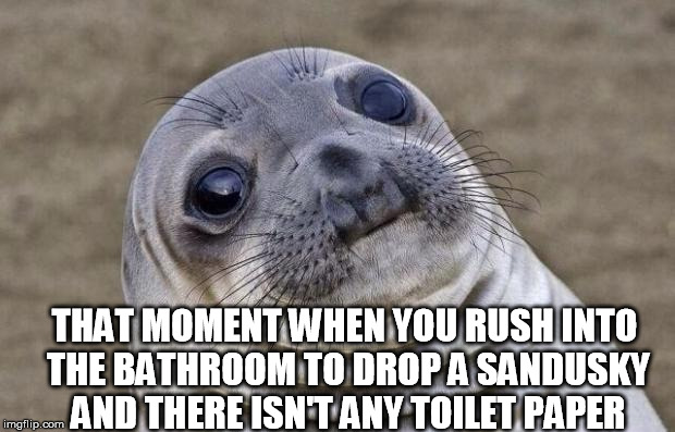 Awkward Moment Sealion | THAT MOMENT WHEN YOU RUSH INTO THE BATHROOM TO DROP A SANDUSKY AND THERE ISN'T ANY TOILET PAPER | image tagged in memes,awkward moment sealion | made w/ Imgflip meme maker
