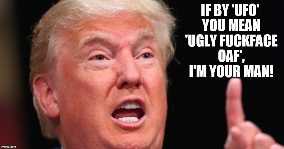 IF BY 'UFO' YOU MEAN 'UGLY F**KFACE OAF', I'M YOUR MAN! | made w/ Imgflip meme maker