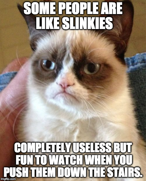Grumpy Cat Meme | SOME PEOPLE ARE LIKE SLINKIES; COMPLETELY USELESS BUT FUN TO WATCH WHEN YOU PUSH THEM DOWN THE STAIRS. | image tagged in memes,grumpy cat | made w/ Imgflip meme maker