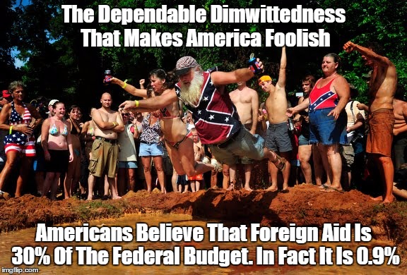 "The Dependable Dimwittedness That Makes America Foolish" | The Dependable Dimwittedness That Makes America Foolish Americans Believe That Foreign Aid Is 30% Of The Federal Budget. In Fact It Is 0.9% | image tagged in american foolishenss,american dimwittedness,america's self-delusion,aggressively ignorant america,federal budget,the facts of fo | made w/ Imgflip meme maker