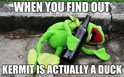Drunk Kermit | WHEN YOU FIND OUT; KERMIT IS ACTUALLY A DUCK | image tagged in drunk kermit | made w/ Imgflip meme maker