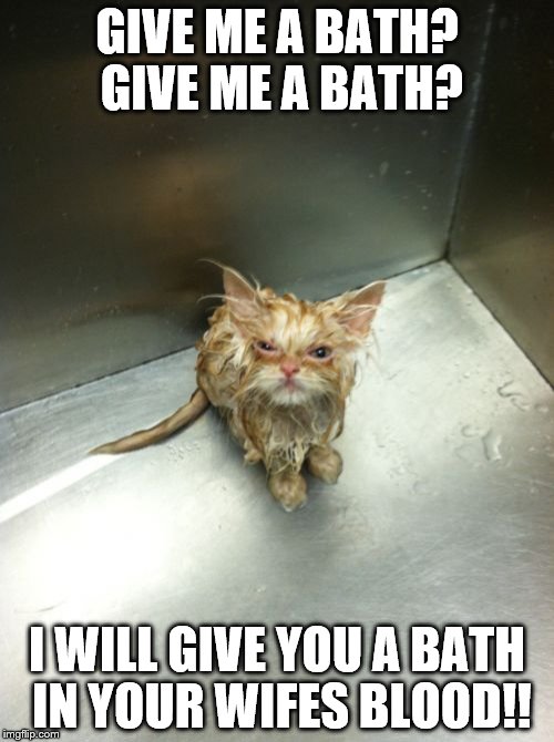 Kill You Cat Meme | GIVE ME A BATH? GIVE ME A BATH? I WILL GIVE YOU A BATH IN YOUR WIFES BLOOD!! | image tagged in memes,kill you cat | made w/ Imgflip meme maker