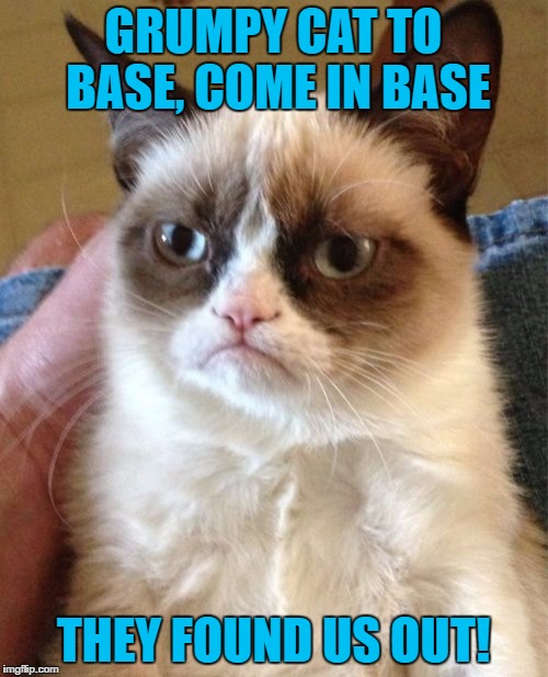 Grumpy Cat Meme | GRUMPY CAT TO BASE, COME IN BASE THEY FOUND US OUT! | image tagged in memes,grumpy cat | made w/ Imgflip meme maker