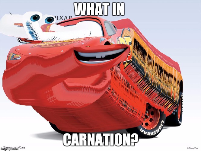 Lightning McQueer | WHAT IN; CARNATION? | image tagged in memes,funny,what in tarnation,cars,lightning mcqueer | made w/ Imgflip meme maker